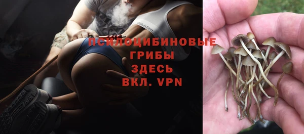 спайс Володарск