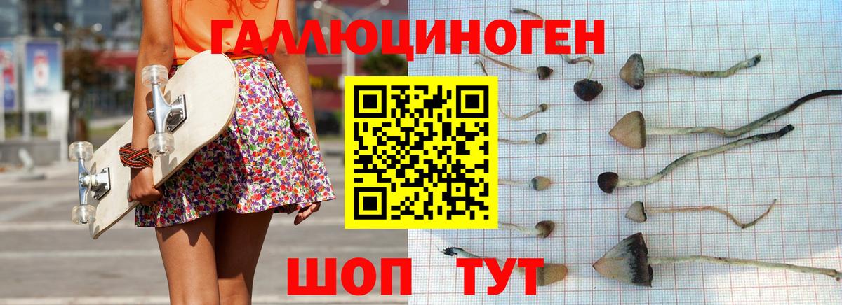 Галлюциногенные грибы ЛСД Кисловодск