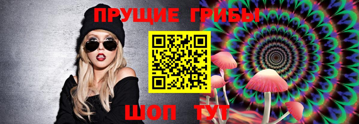 Галлюциногенные грибы Psilocybe Кисловодск