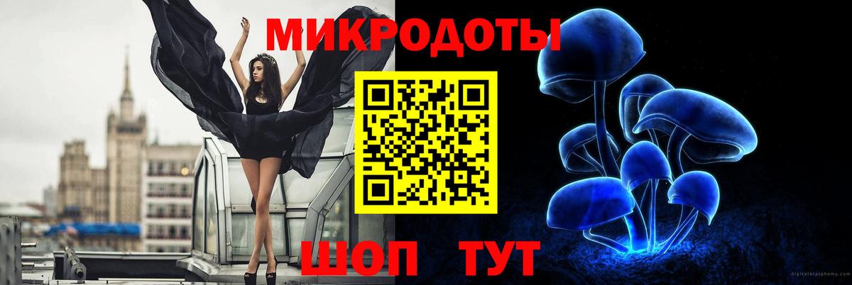 Галлюциногенные грибы Cubensis  Вход с VPN  Кисловодск  Псилоцибиновые грибы GOLDEN TEACHER 